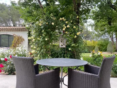a table and chairs in a garden with roses at La Bastide des Rosiers in Mallemort