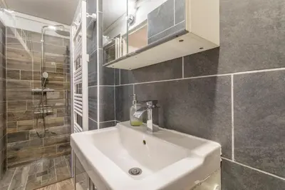 a bathroom with a white sink and a shower at Studio Cardeurs in Aix-en-Provence