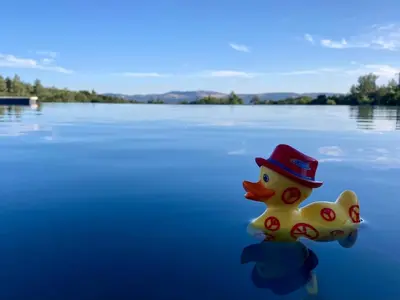 a rubber duck wearing a hat on a lake at La Grisonne - Chalet3 in Revest-du-Bion