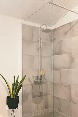 a bathroom with a shower with a potted plant at Villa des Baumes in Cornillon-Confoux