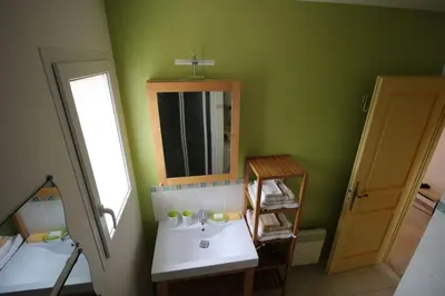 a green bathroom with a sink and a mirror at Gîte Les Hauts Sauviers avec piscine et sauna in Bédoin