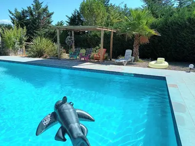 a dolphin in the water in a swimming pool at Chambre basilic 2p, 2 nuits max, dans petit chalet 6km du festival de piano de la roque d'anthéron in Rognes