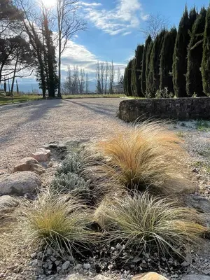a patch of grass on the side of a road at La Pavoyère in Mormoiron