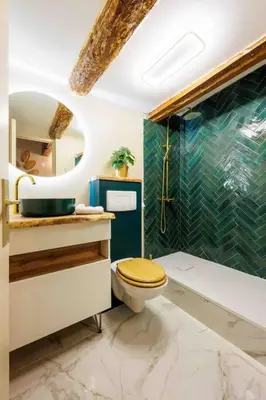 a bathroom with a toilet and a shower at Au cœur d’Aix-en-Provence in Aix-en-Provence