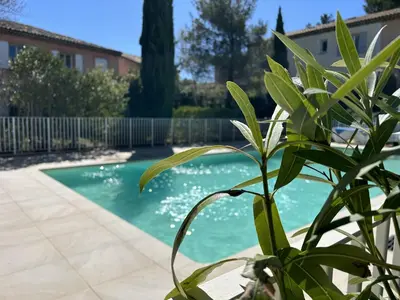a plant in front of a swimming pool at Maison Calme 6 Pers. au Golf Pont Royal - Piscine, Terrasse, Parking, Clim, Fibre - 13370 Mallemort - FR-1-658-24 in Mallemort