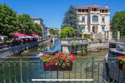 a view of a canal with flowers on a fence at Joli appartement au cœur de la ville in LʼIsle-sur-la-Sorgue