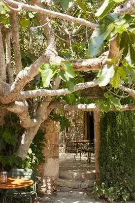 a tree with a wooden table and chairs under it at La Bastide du Mourre - Fontenille Collection in Oppède