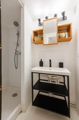 a bathroom with a sink and a mirror and a shower at L'Aixquis - T2, Vieille Ville in Aix-en-Provence