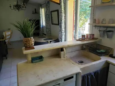 a kitchen with a sink with a potted plant on it at Charmante petite maison de campagne in Jouques