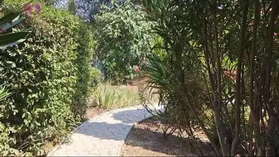 a path through a garden with trees and bushes at Magnifique Villa avec piscine in Cadenet