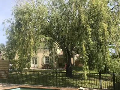 a large tree in front of a house with a fence at Maison familiale au pied du Mont Ventoux in Mazan