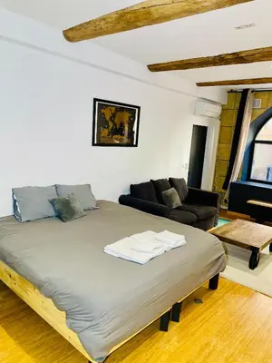 a bedroom with a large bed and a couch at Aix-en-Provence, studio atypique quartier hyper centre in Aix-en-Provence