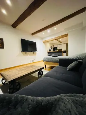 a living room with a couch and a table at Aix-en-Provence, studio atypique quartier hyper centre in Aix-en-Provence