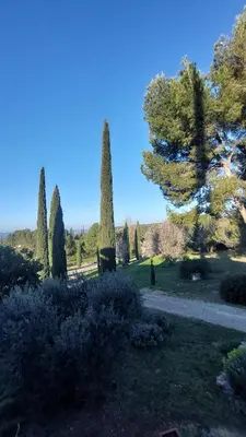 a garden with cypress trees and a path at Appartement entier Vue sur PAYS D Aix in Aix-en-Provence