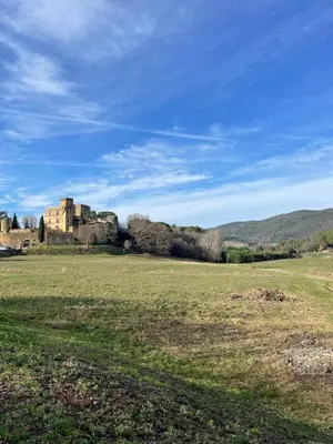 a large field with an old castle in the distance at Le Lourmarinois in Lourmarin