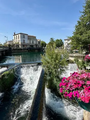 a river with pink flowers and a waterfall at Lou Paseo : Appartement Brocante centre historique in LʼIsle-sur-la-Sorgue