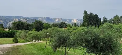 a dirt road with trees and mountains in the background at Mas provençal in Sénas