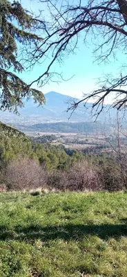 a view of a field of grass with mountains in the background at Le logis du Ventoux in Bédoin