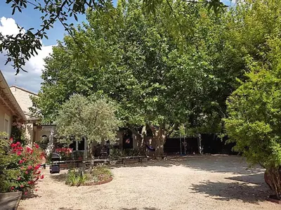 a yard with a large tree and a house at Le Mas des Cigales avec parc et grande piscine in Velleron