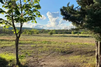 a field with two trees in a field at Gite Nature & Bien-Être avec piscine in Lincel