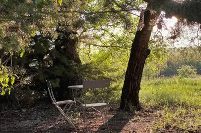a chair and a table under a tree at Gite Nature & Bien-Être avec piscine in Lincel