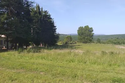 a field of grass with trees and a house at Gite Nature & Bien-Être avec piscine in Lincel