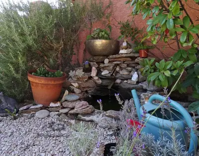 a garden with a pond and some plants at Soleil bleu in Rognes
