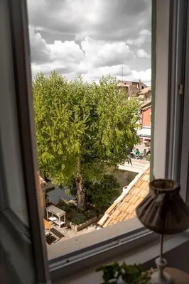 a view of a tree from a window at La maison du bassin in LʼIsle-sur-la-Sorgue