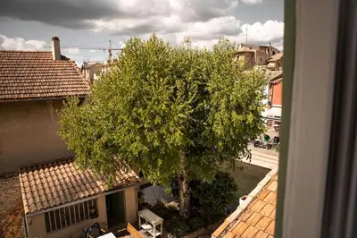 a tree in front of a building with a window at La maison du bassin in LʼIsle-sur-la-Sorgue