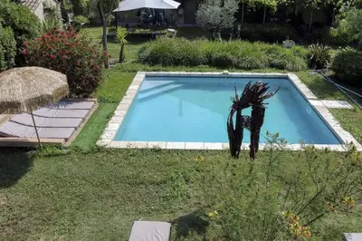 a swimming pool in a yard with a plant next to it at Vent de Bohème in Cabannes