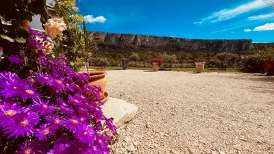 a bunch of purple flowers in a yard with a fence at Gite La Madeleine du Luberon. in Lioux