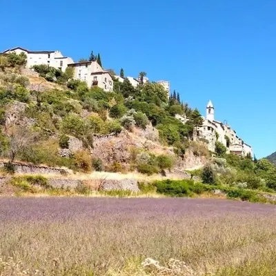 Location provence ventoux sault