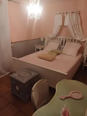 a bedroom with two beds and a chandelier at Gite Au fond du jardin in Saint-Saturnin-lès-Avignon
