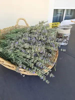 a basket full of purple flowers on a table at Olympe de Provence in Caromb