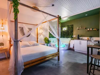 a bedroom with a canopy bed and a kitchen at Sault Tropical - Idéal couple - Balnéo Led - Vue parc & montagne - Wifi - Stationnement gratuit - 5min à pied des bars, restaurants & commerces in Sault-de-Vaucluse