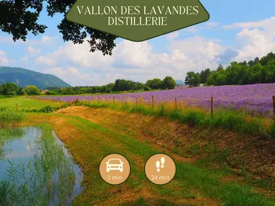 a field of lavender with two signs on it at Sault Tropical - Idéal couple - Balnéo Led - Vue parc & montagne - Wifi - Stationnement gratuit - 5min à pied des bars, restaurants & commerces in Sault-de-Vaucluse