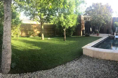 a yard with a swimming pool and trees and grass at A lombre du magnolia in LʼIsle-sur-la-Sorgue