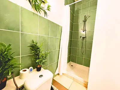 a green bathroom with a toilet and a shower at Carré Rouge*Gare Sncf*Fibre Wifi in Miramas