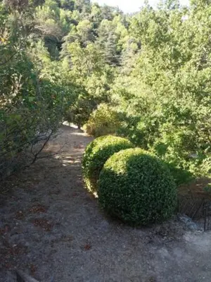a group of bushes sitting on the side of a road at Superbe Mas Authentique du Luberon Courroussouvo in Oppède
