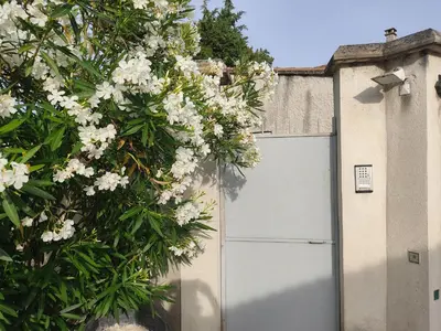 a white garage door with a bush with white flowers at Appartement Velleron-4 personnes in Velleron