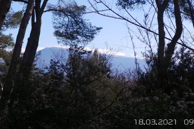 a mountain in the distance with trees in the foreground at Maison conviviale à Aubignan avec piscine partagée in Aubignan