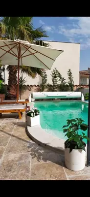 a swimming pool with an umbrella and potted plants at Villa des palmiers in Saint-Saturnin-lès-Avignon
