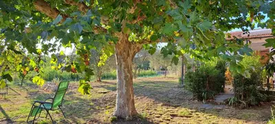 a green chair sitting next to a tree at Campagne Carbonel in Aix-en-Provence