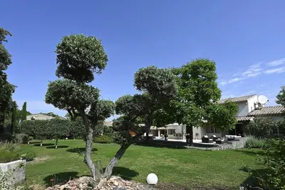 a tree in the yard of a house at La Villa Moderna in Robion en Luberon