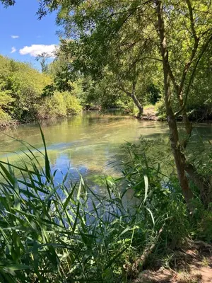 a river with trees and plants in the foreground at Petit cocon avec terrasse in LʼIsle-sur-la-Sorgue