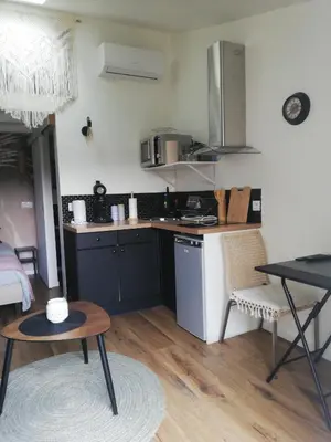 a small kitchen with a stove and a table at Petit cocon avec terrasse in LʼIsle-sur-la-Sorgue