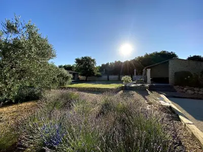 a garden with purple flowers and the sun in the sky at Les Agapanthes de Gordes in Gordes