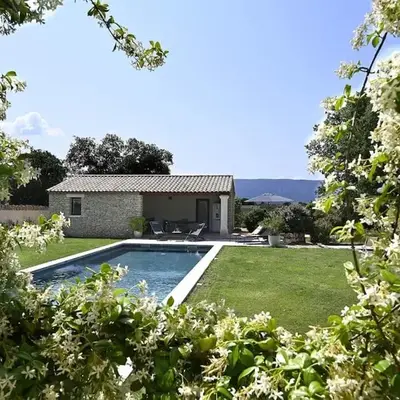 Les Agapanthes de Gordes
