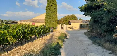 a vineyard with a house and a tree at Mas La Gentille ,,, à la campagne , beautiful outdoor , swimming pool , pool house , Nice green Garden , BBQ ,,, only for you , pour passer un séjour inoubliable in Pernes-les-Fontaines