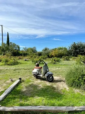 a motor scooter parked in a field of grass at Le Cabanon de Léandre in Meyrargues